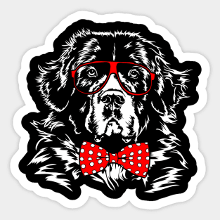 Funny Cute Newfoundland dog lover gift Sticker